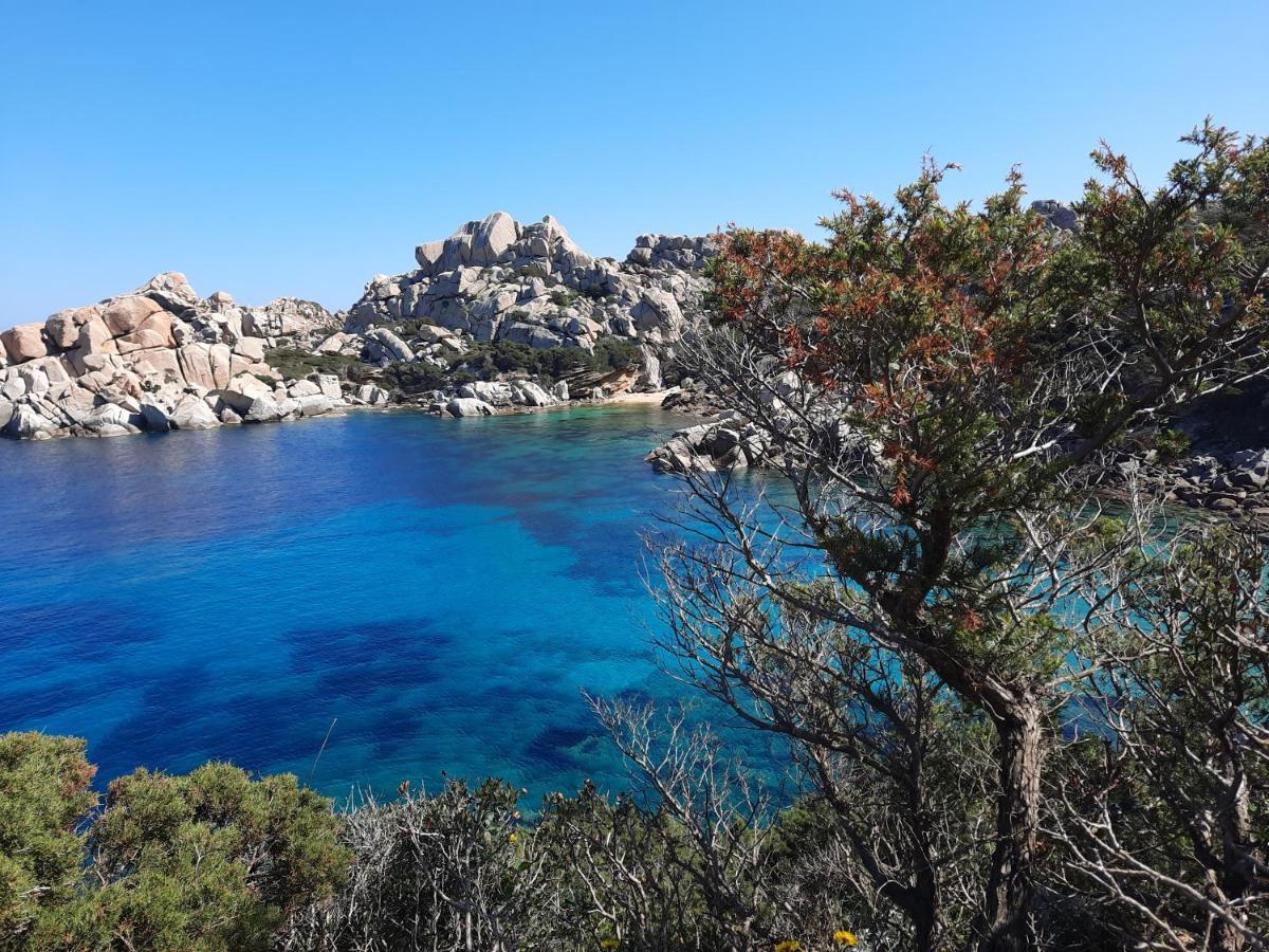 La Residenza Del Porto Lejlighed Santa Teresa Gallura Eksteriør billede